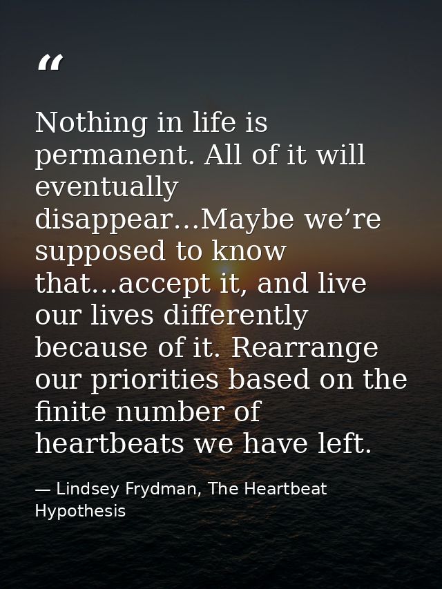 Nothing in life is permanent. All of it will eventually disappear…Maybe we’re supposed to know that…accept it, and live  — Lindsey Frydman, The Heartbeat Hypothesis