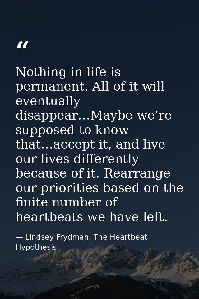 Nothing in life is permanent. All of it will eventually disappear…Maybe we’re supposed to know that…accept it, and live  — Lindsey Frydman, The Heartbeat Hypothesis