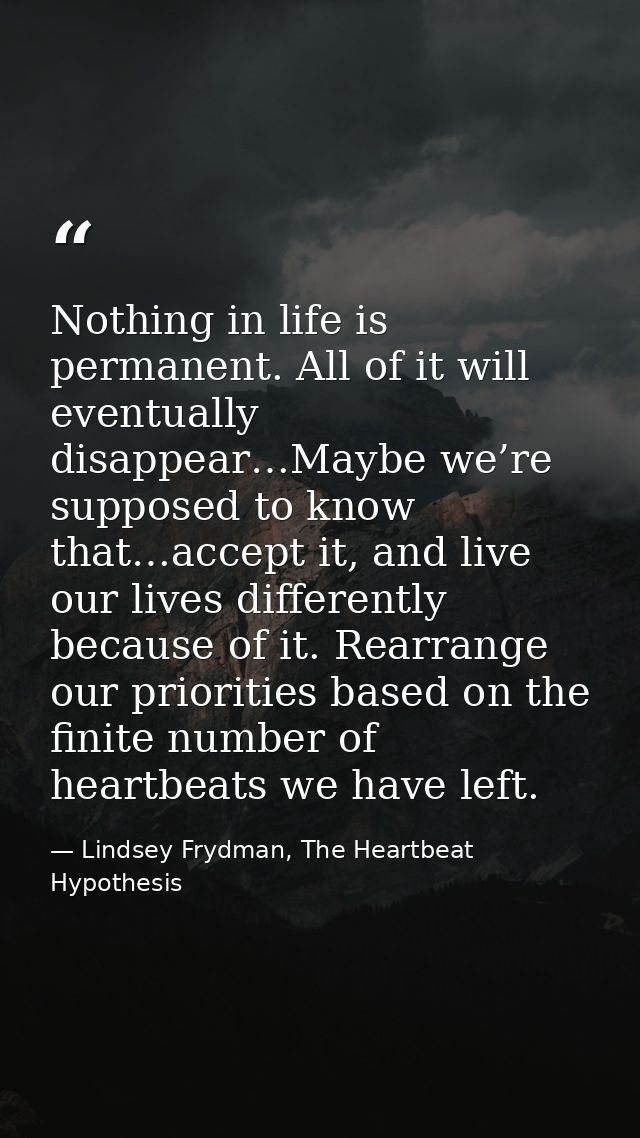 Nothing in life is permanent. All of it will eventually disappear…Maybe we’re supposed to know that…accept it, and live  — Lindsey Frydman, The Heartbeat Hypothesis