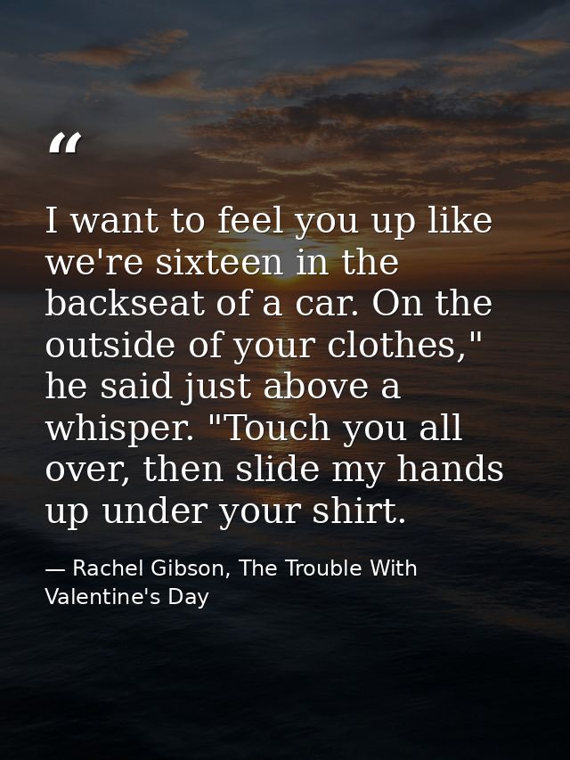 I want to feel you up like we're sixteen in the backseat of a car. On the outside of your clothes," he said just above a — Rachel Gibson, The Trouble With Valentine's Day