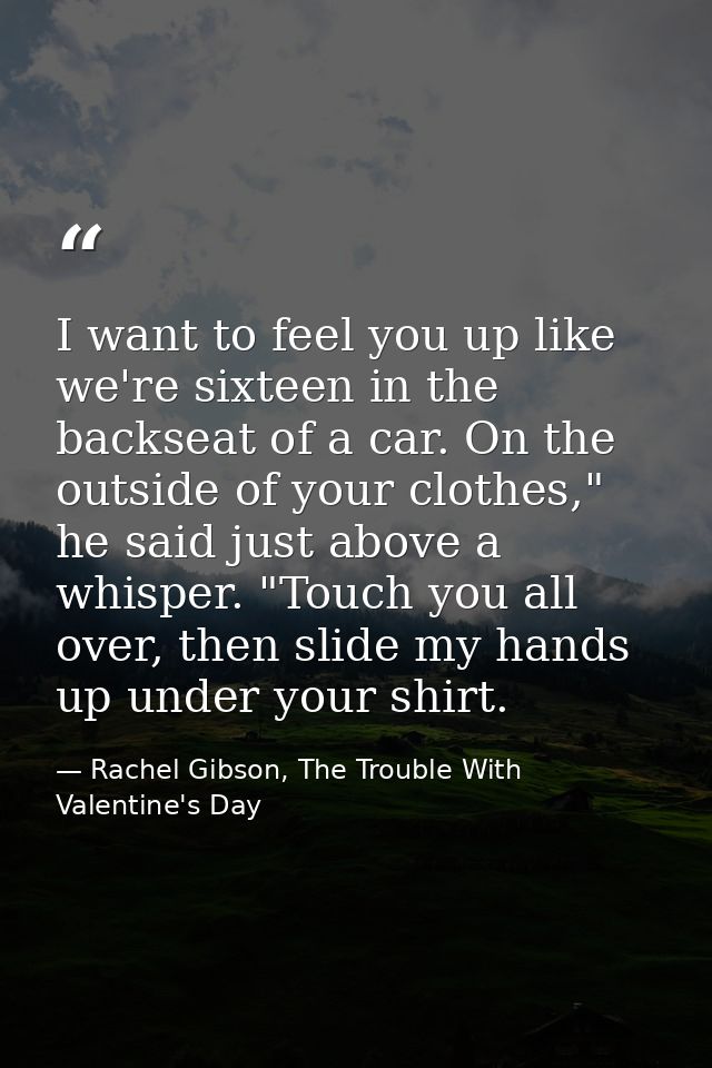 I want to feel you up like we're sixteen in the backseat of a car. On the outside of your clothes," he said just above a — Rachel Gibson, The Trouble With Valentine's Day