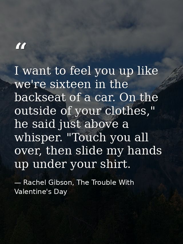 I want to feel you up like we're sixteen in the backseat of a car. On the outside of your clothes," he said just above a — Rachel Gibson, The Trouble With Valentine's Day