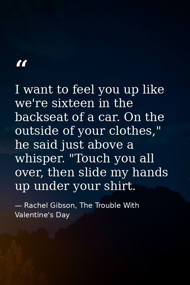 I want to feel you up like we're sixteen in the backseat of a car. On the outside of your clothes," he said just above a — Rachel Gibson, The Trouble With Valentine's Day