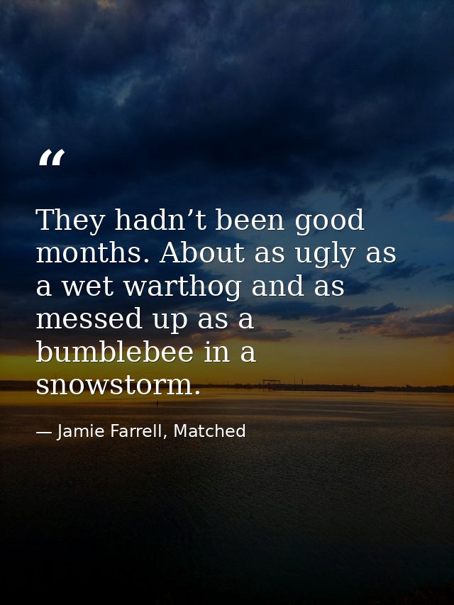 They hadn’t been good months. About as ugly as a wet warthog and as messed up as a bumblebee in a snowstorm. — Jamie Farrell, Matched