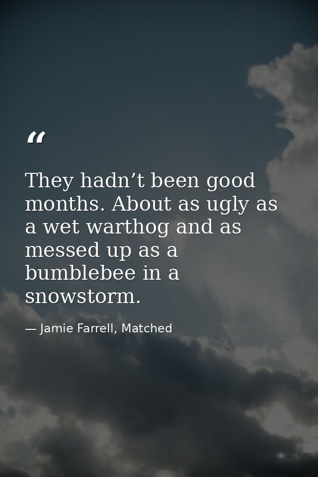 They hadn’t been good months. About as ugly as a wet warthog and as messed up as a bumblebee in a snowstorm. — Jamie Farrell, Matched