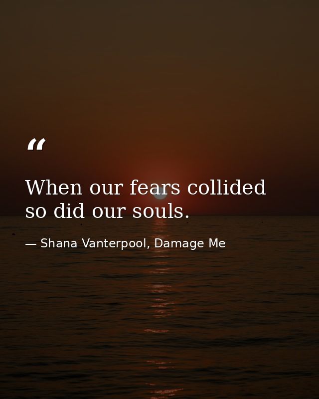 When our fears collided so did our souls. — Shana Vanterpool, Damage Me