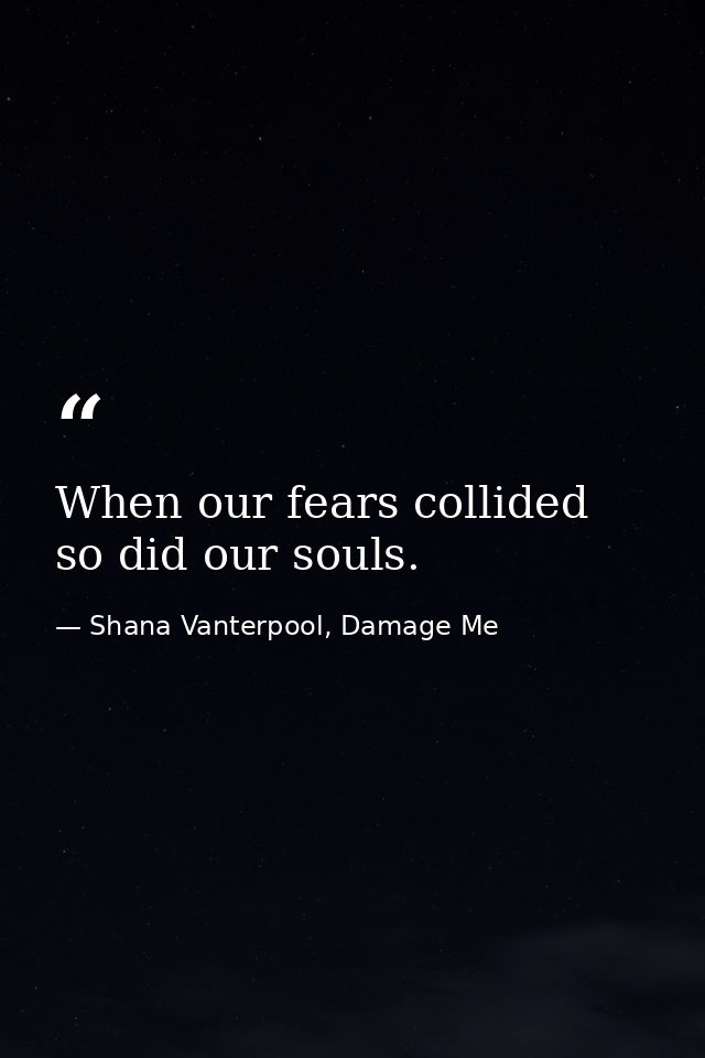 When our fears collided so did our souls. — Shana Vanterpool, Damage Me