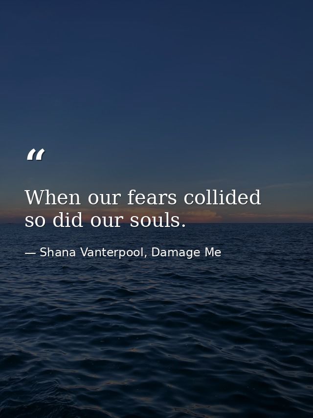 When our fears collided so did our souls. — Shana Vanterpool, Damage Me