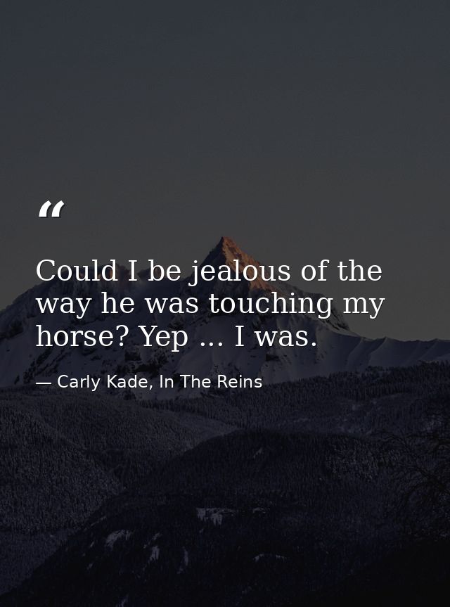 Could I be jealous of the way he was touching my horse? Yep ... I was. — Carly Kade, In The Reins