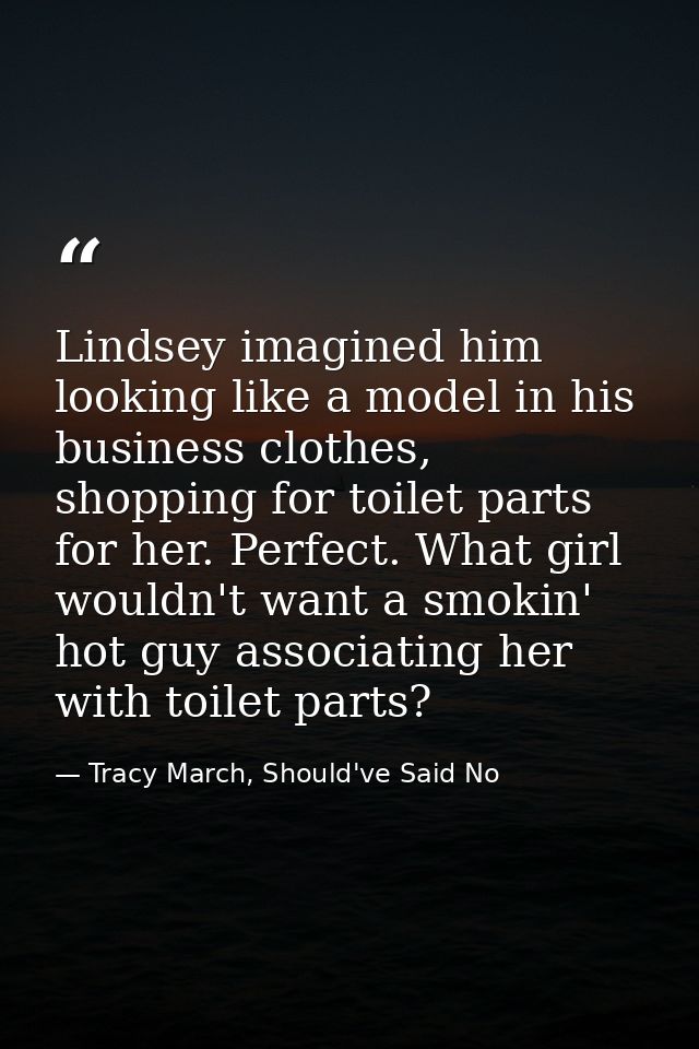 Lindsey imagined him looking like a model in his business clothes, shopping for toilet parts for her. Perfect. What girl — Tracy March, Should've Said No