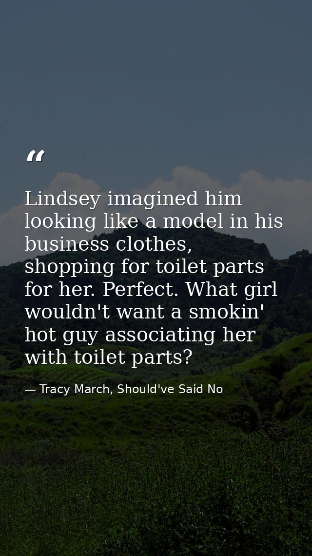 Lindsey imagined him looking like a model in his business clothes, shopping for toilet parts for her. Perfect. What girl — Tracy March, Should've Said No