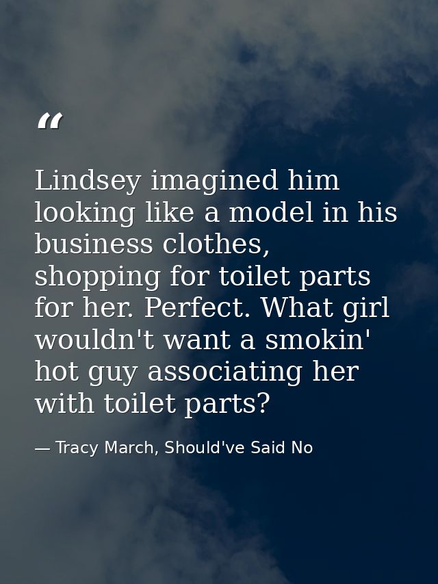 Lindsey imagined him looking like a model in his business clothes, shopping for toilet parts for her. Perfect. What girl — Tracy March, Should've Said No
