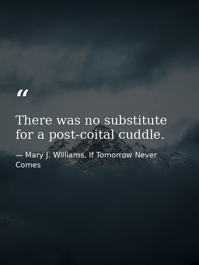 There was no substitute for a post-coital cuddle. — Mary J. Williams, If Tomorrow Never Comes
