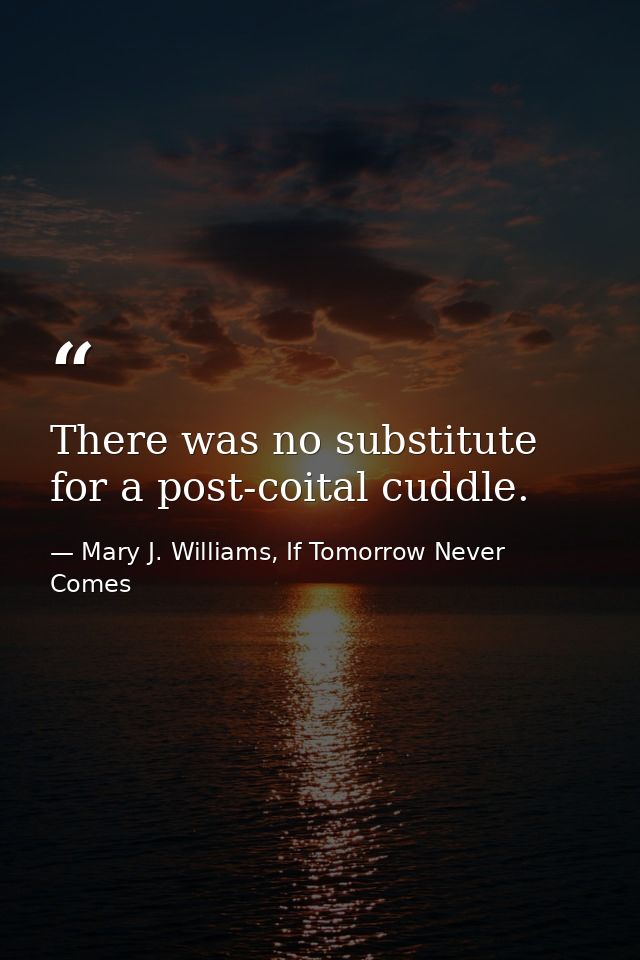There was no substitute for a post-coital cuddle. — Mary J. Williams, If Tomorrow Never Comes
