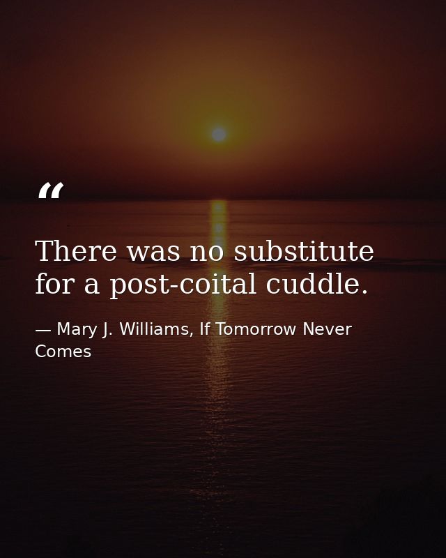 There was no substitute for a post-coital cuddle. — Mary J. Williams, If Tomorrow Never Comes