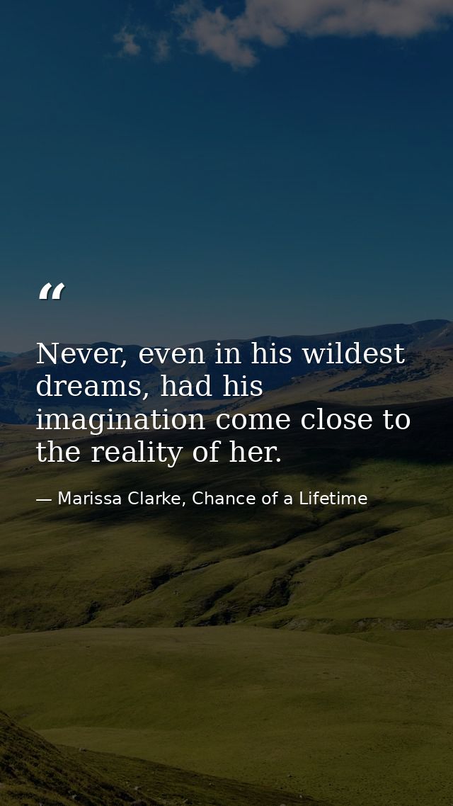 Never, even in his wildest dreams, had his imagination come close to the reality of her. — Marissa Clarke, Chance of a Lifetime
