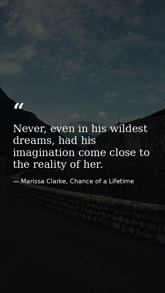 Never, even in his wildest dreams, had his imagination come close to the reality of her. — Marissa Clarke, Chance of a Lifetime