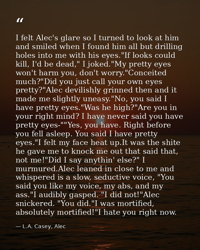 I felt Alec's glare so I turned to look at him and smiled when I found him all but drilling holes into me with his eyes. — L.A. Casey, Alec