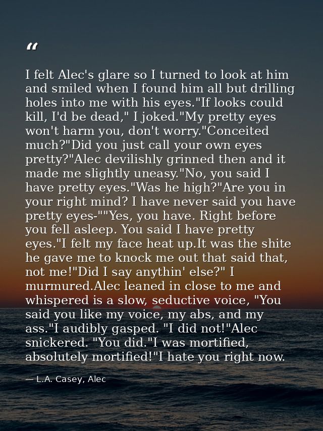 I felt Alec's glare so I turned to look at him and smiled when I found him all but drilling holes into me with his eyes. — L.A. Casey, Alec