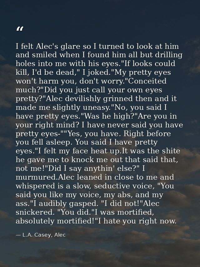 I felt Alec's glare so I turned to look at him and smiled when I found him all but drilling holes into me with his eyes. — L.A. Casey, Alec
