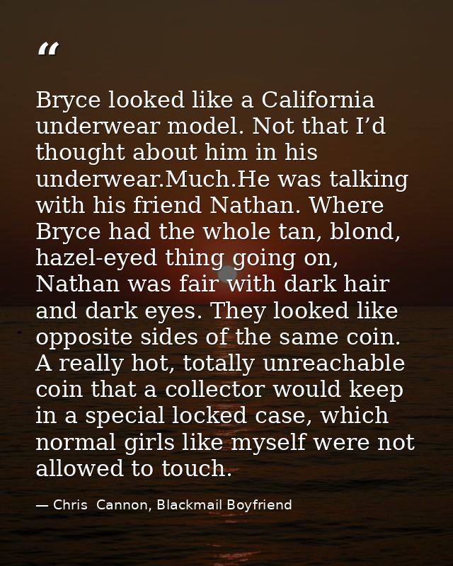 Bryce looked like a California underwear model. Not that I’d thought about him in his underwear.Much.He was talking with — Chris  Cannon, Blackmail Boyfriend