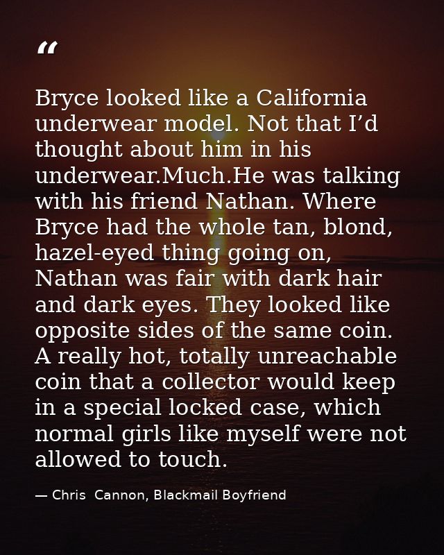 Bryce looked like a California underwear model. Not that I’d thought about him in his underwear.Much.He was talking with — Chris  Cannon, Blackmail Boyfriend