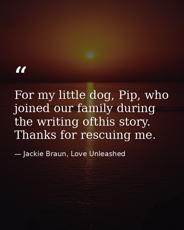 For my little dog, Pip, who joined our family during the writing ofthis story. Thanks for rescuing me. — Jackie Braun, Love Unleashed