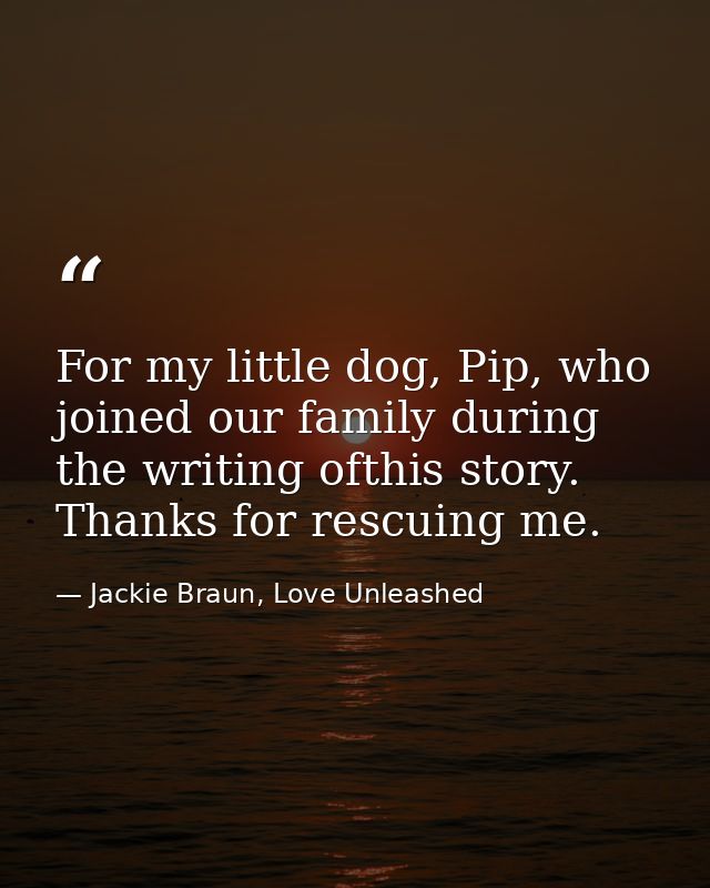 For my little dog, Pip, who joined our family during the writing ofthis story. Thanks for rescuing me. — Jackie Braun, Love Unleashed
