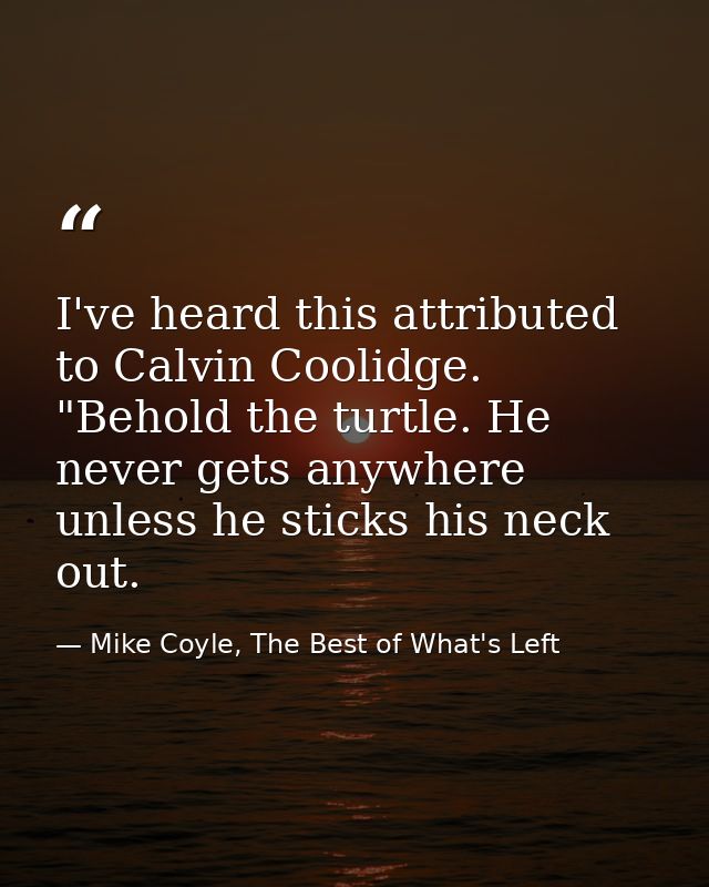 I've heard this attributed to Calvin Coolidge. "Behold the turtle. He never gets anywhere unless he sticks his neck out. — Mike Coyle, The Best of What's Left