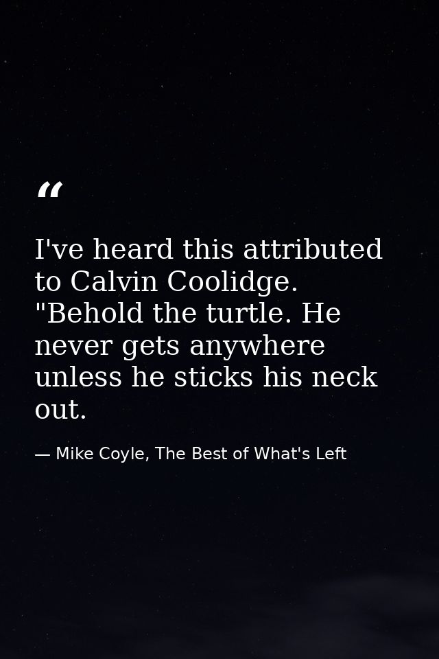 I've heard this attributed to Calvin Coolidge. "Behold the turtle. He never gets anywhere unless he sticks his neck out. — Mike Coyle, The Best of What's Left