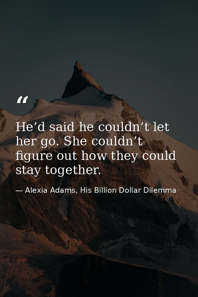 He’d said he couldn’t let her go. She couldn’t figure out how they could stay together. — Alexia Adams, His Billion Dollar Dilemma