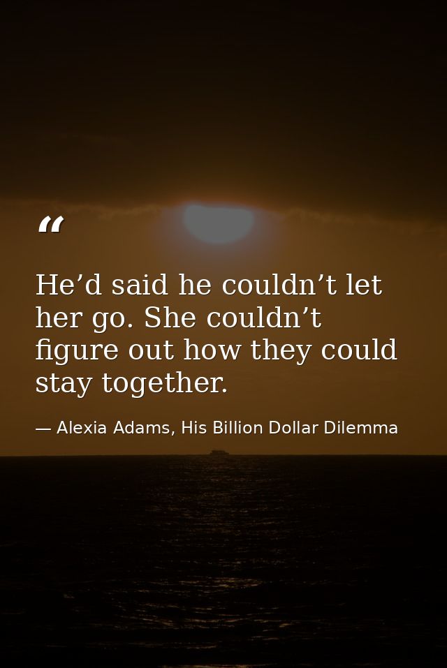 He’d said he couldn’t let her go. She couldn’t figure out how they could stay together. — Alexia Adams, His Billion Dollar Dilemma