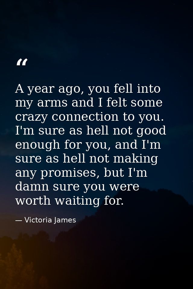 A year ago, you fell into my arms and I felt some crazy connection to you. I'm sure as hell not good enough for you, and — Victoria James