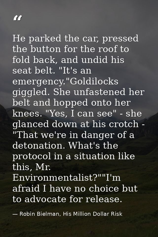 He parked the car, pressed the button for the roof to fold back, and undid his seat belt. "It's an emergency."Goldilocks — Robin Bielman, His Million Dollar Risk