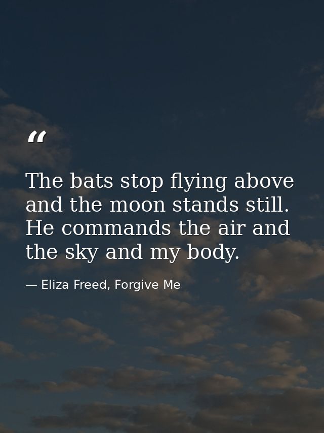 The bats stop flying above and the moon stands still. He commands the air and the sky and my body. — Eliza Freed, Forgive Me