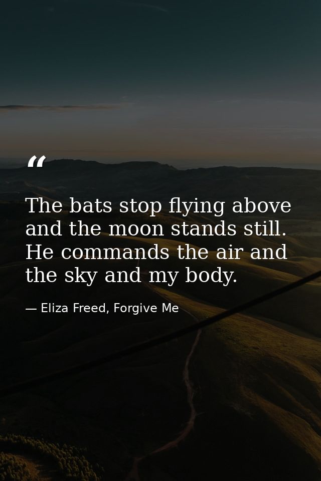 The bats stop flying above and the moon stands still. He commands the air and the sky and my body. — Eliza Freed, Forgive Me