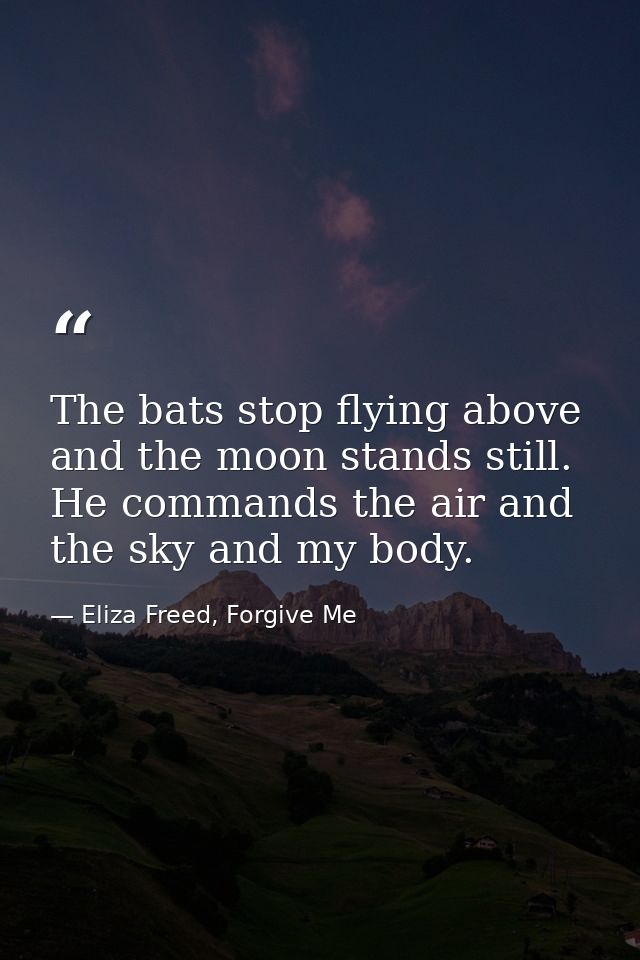 The bats stop flying above and the moon stands still. He commands the air and the sky and my body. — Eliza Freed, Forgive Me