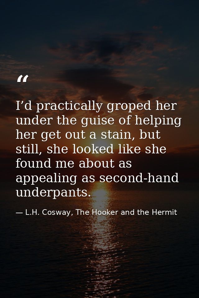 I’d practically groped her under the guise of helping her get out a stain, but still, she looked like she found me about — L.H. Cosway, The Hooker and the Hermit
