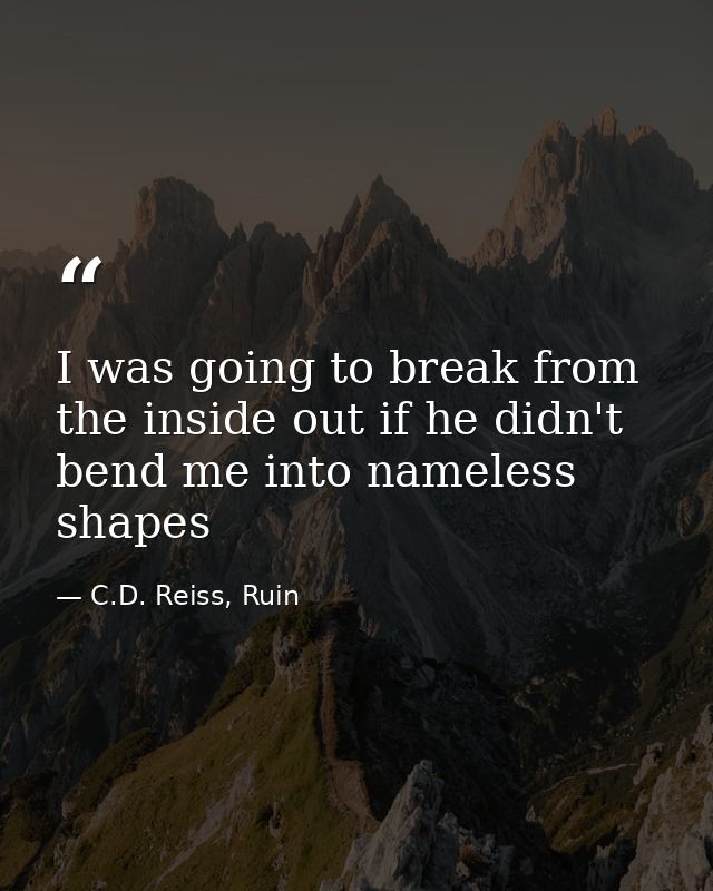 I was going to break from the inside out if he didn't bend me into nameless shapes — C.D. Reiss, Ruin