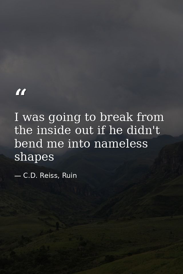 I was going to break from the inside out if he didn't bend me into nameless shapes — C.D. Reiss, Ruin
