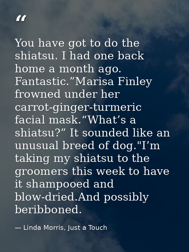 You have got to do the shiatsu. I had one back home a month ago. Fantastic.”Marisa Finley frowned under her carrot-ginge — Linda Morris, Just a Touch