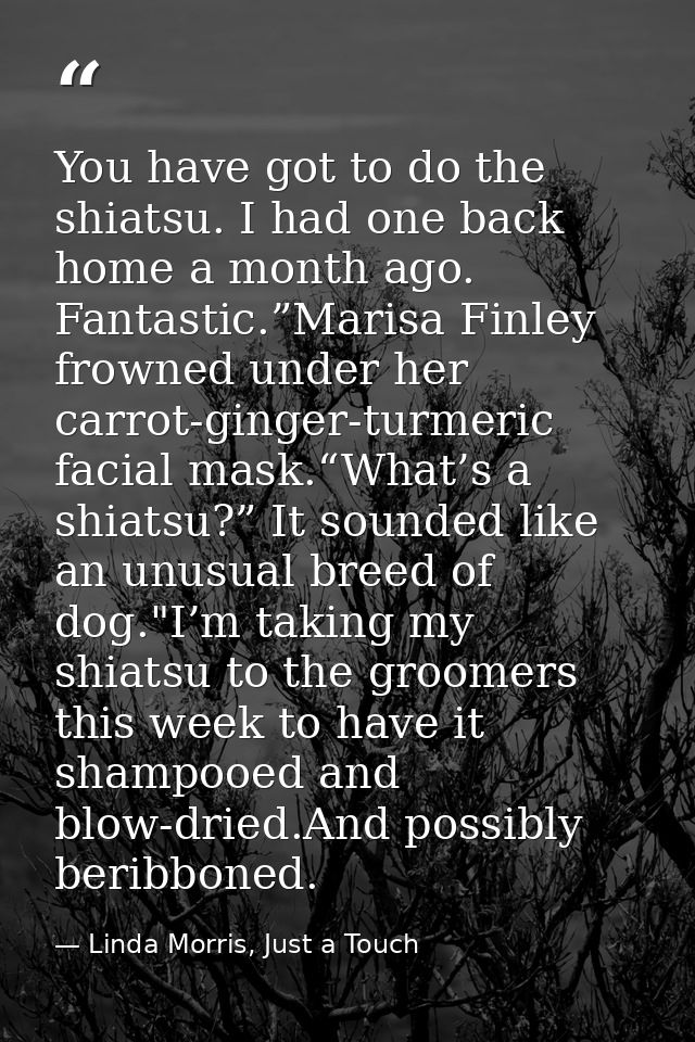 You have got to do the shiatsu. I had one back home a month ago. Fantastic.”Marisa Finley frowned under her carrot-ginge — Linda Morris, Just a Touch