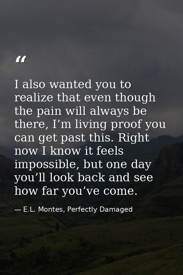 I also wanted you to realize that even though the pain will always be there, I’m living proof you can get past this. Rig — E.L. Montes, Perfectly Damaged