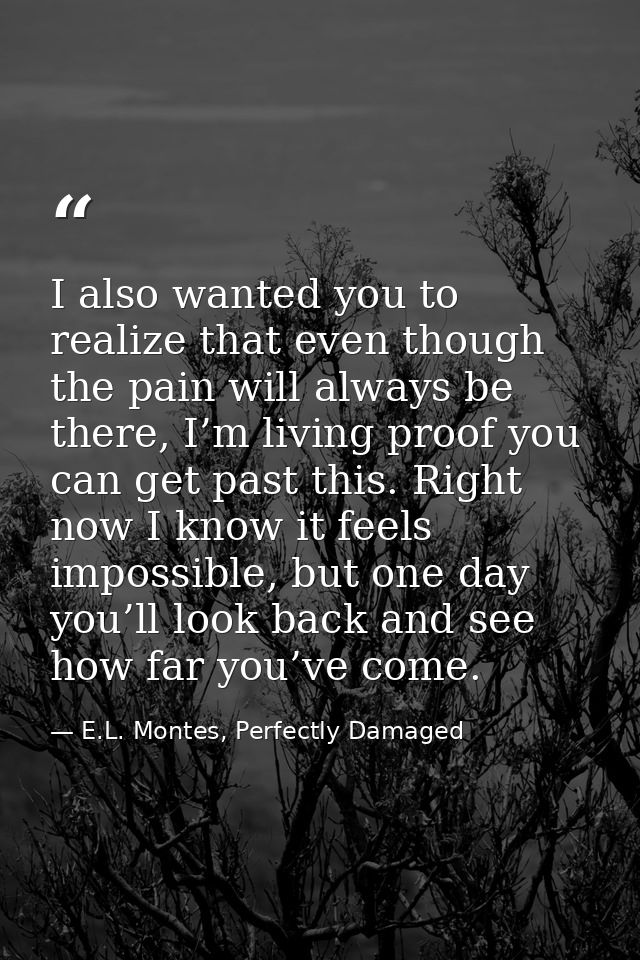 I also wanted you to realize that even though the pain will always be there, I’m living proof you can get past this. Rig — E.L. Montes, Perfectly Damaged
