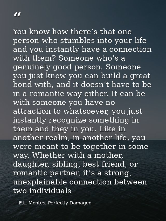 You know how there’s that one person who stumbles into your life and you instantly have a connection with them? Someone  — E.L. Montes, Perfectly Damaged