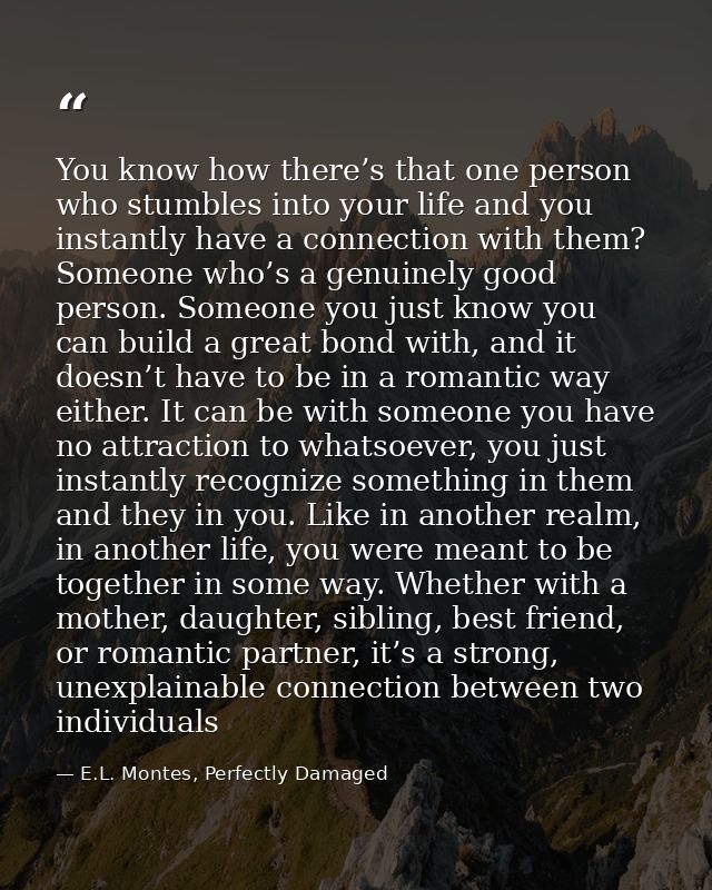 You know how there’s that one person who stumbles into your life and you instantly have a connection with them? Someone  — E.L. Montes, Perfectly Damaged