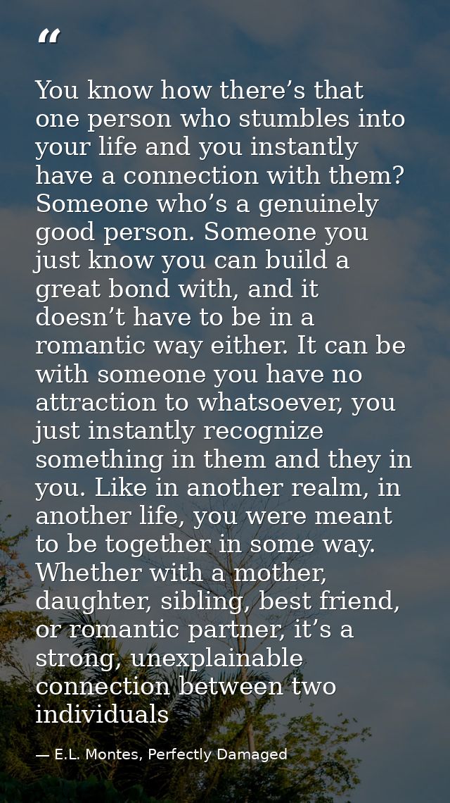 You know how there’s that one person who stumbles into your life and you instantly have a connection with them? Someone  — E.L. Montes, Perfectly Damaged