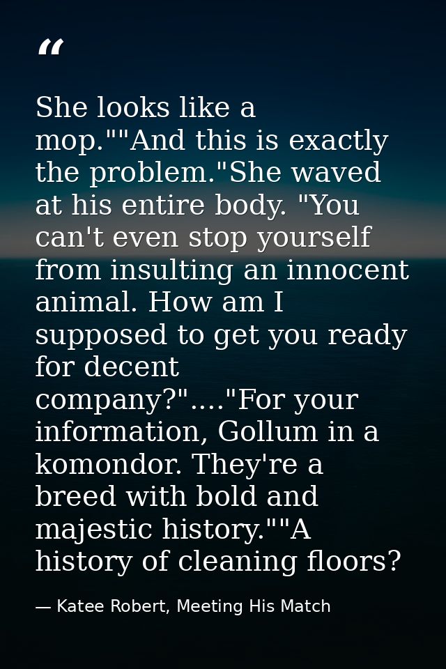She looks like a mop.""And this is exactly the problem."She waved at his entire body. "You can't even stop yourself from — Katee Robert, Meeting His Match