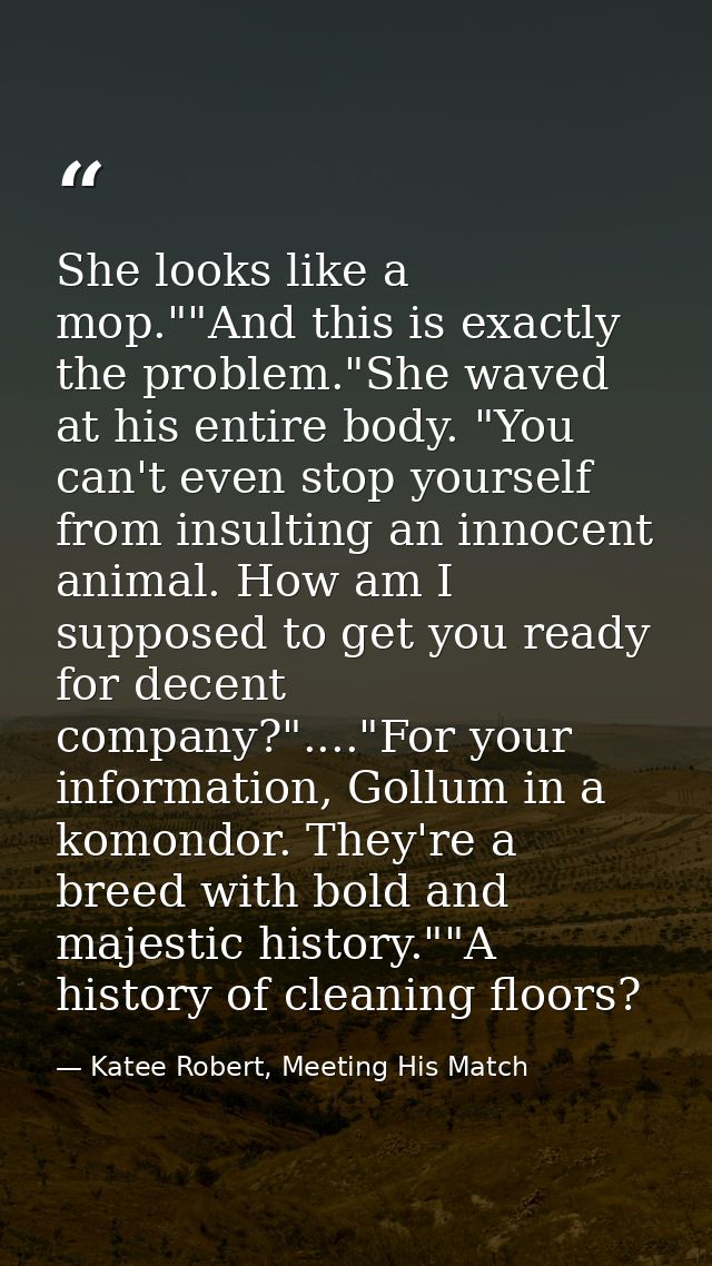 She looks like a mop.""And this is exactly the problem."She waved at his entire body. "You can't even stop yourself from — Katee Robert, Meeting His Match