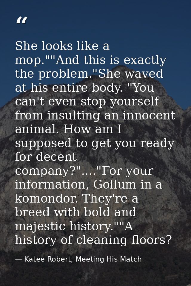 She looks like a mop.""And this is exactly the problem."She waved at his entire body. "You can't even stop yourself from — Katee Robert, Meeting His Match